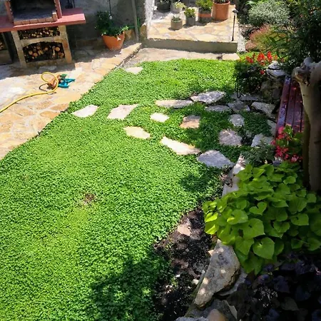 Little Heaven